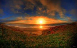 "Adopt the pace of nature: her secret is patience." - Ralph Waldo Emerson